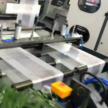 CY430＊2雙道全自動(dòng)背心袋成型制袋機(jī)